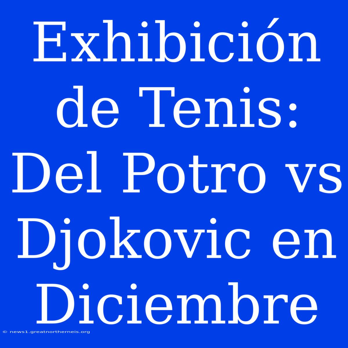 Exhibición De Tenis: Del Potro Vs Djokovic En Diciembre