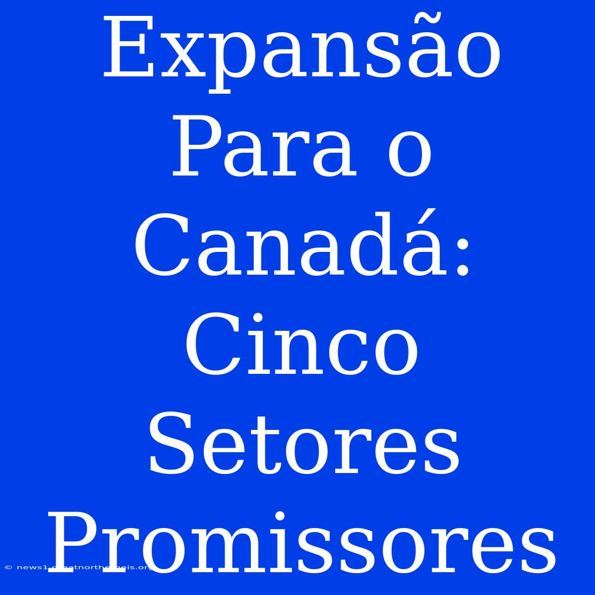 Expansão Para O Canadá: Cinco Setores Promissores