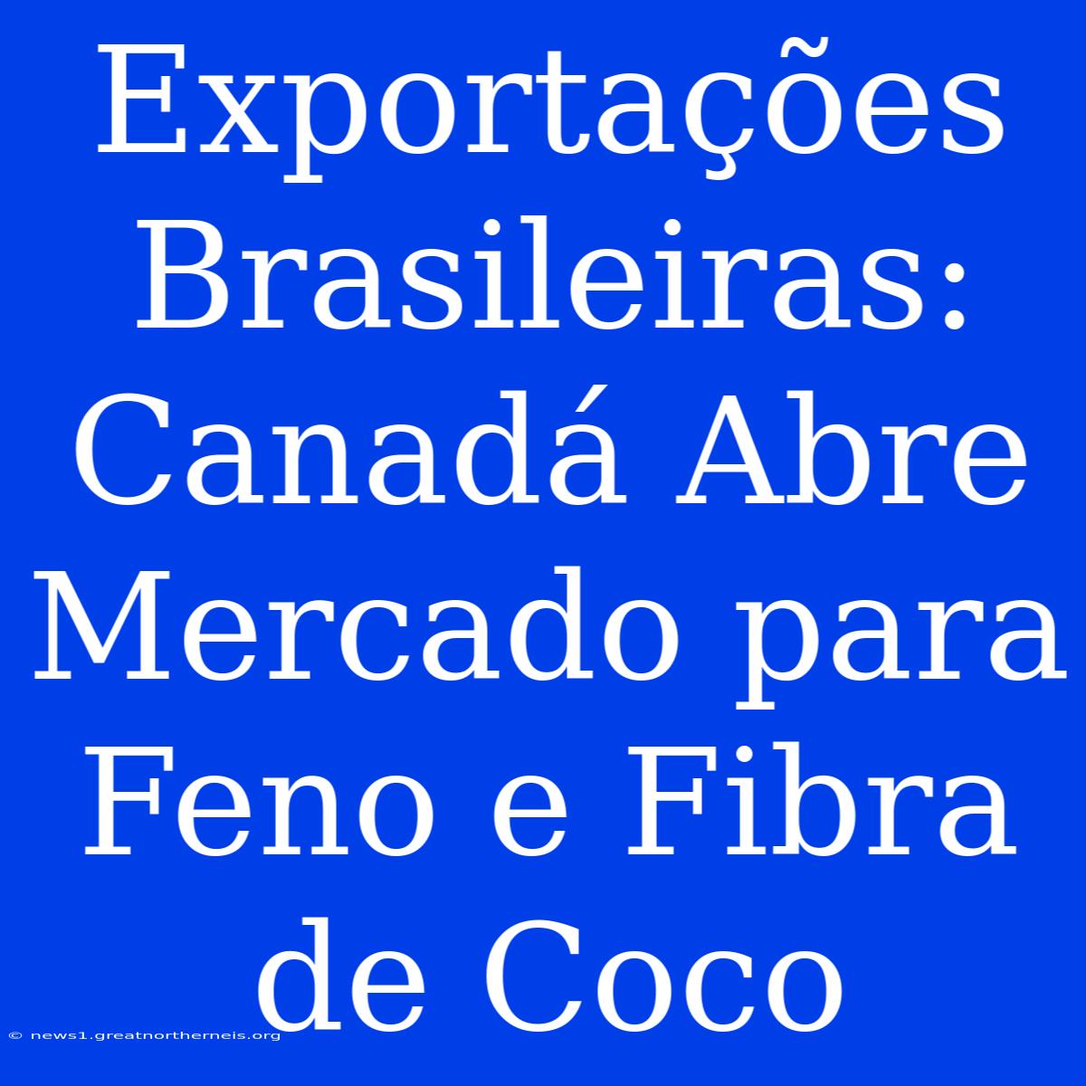 Exportações Brasileiras: Canadá Abre Mercado Para Feno E Fibra De Coco