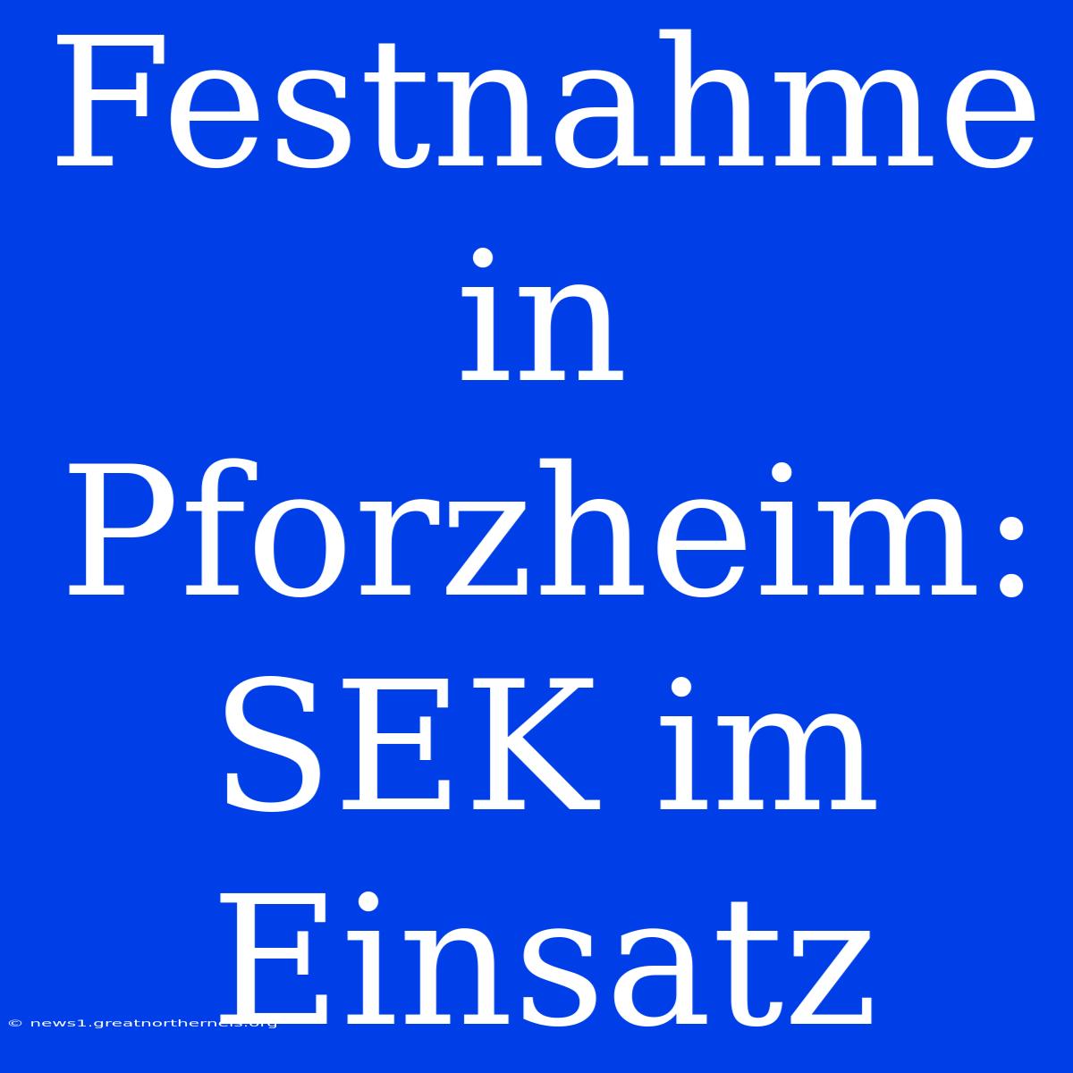 Festnahme In Pforzheim: SEK Im Einsatz