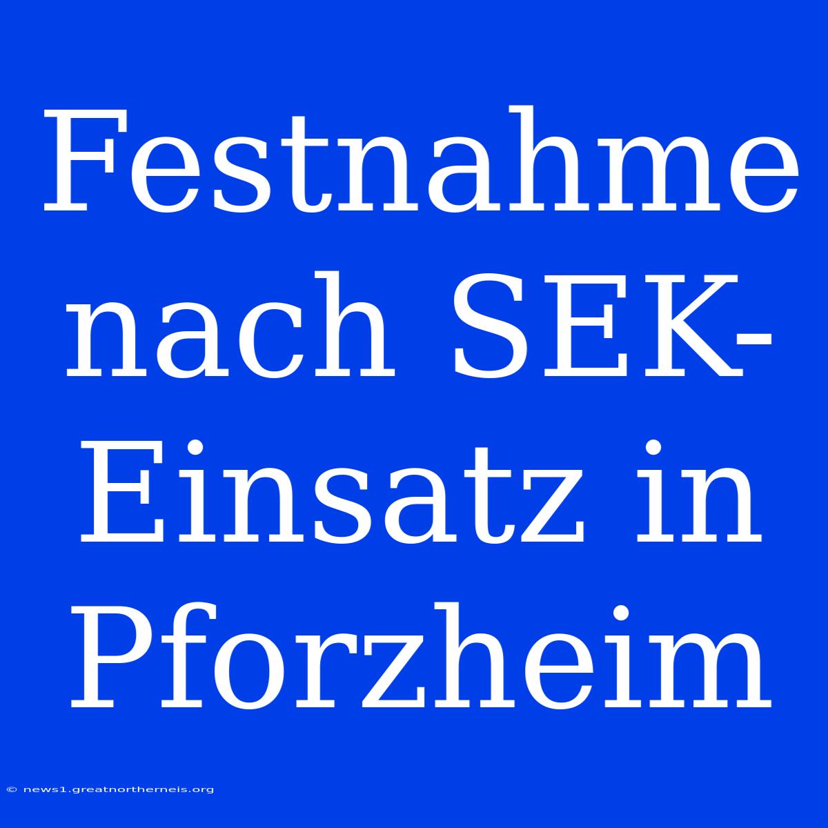 Festnahme Nach SEK-Einsatz In Pforzheim