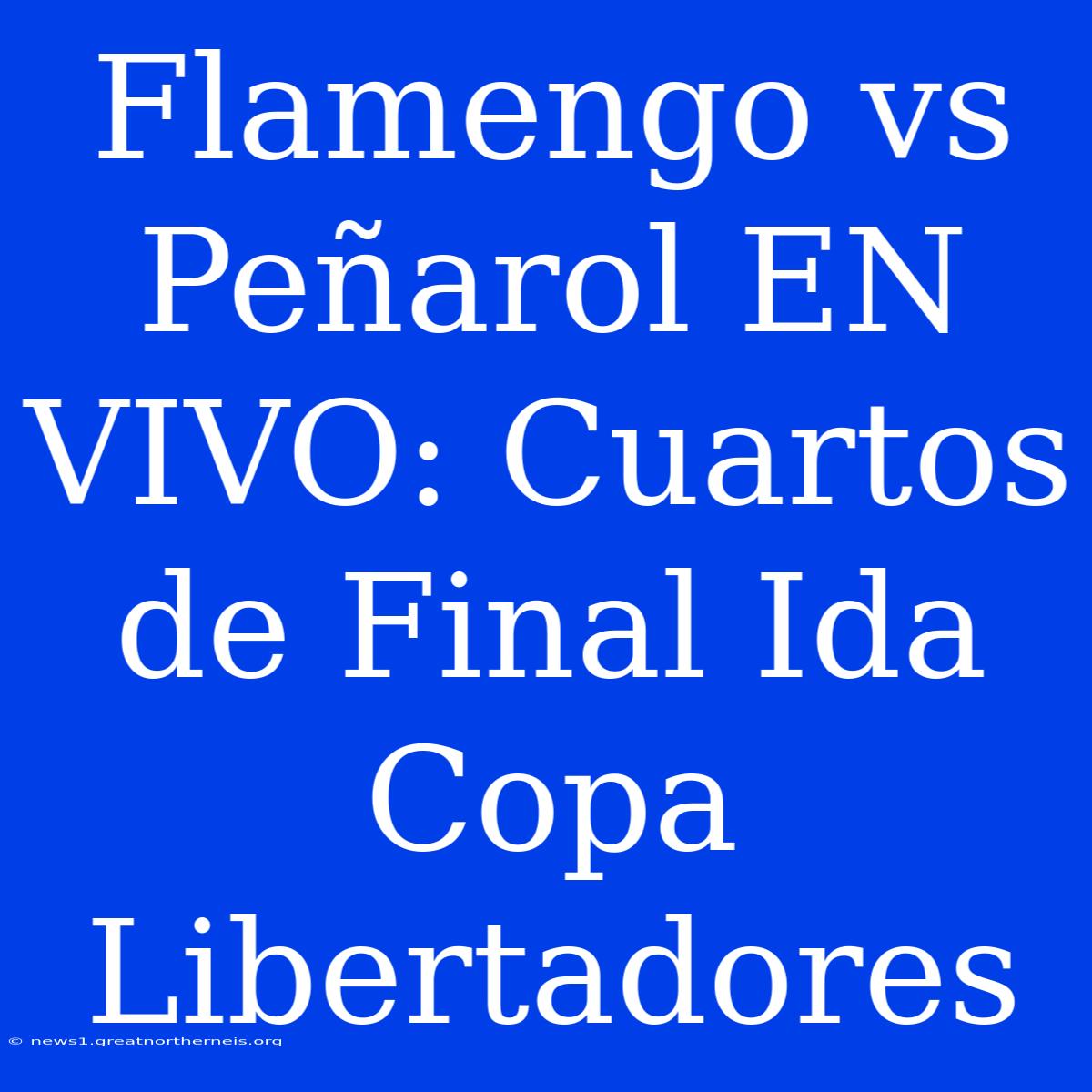 Flamengo Vs Peñarol EN VIVO: Cuartos De Final Ida Copa Libertadores