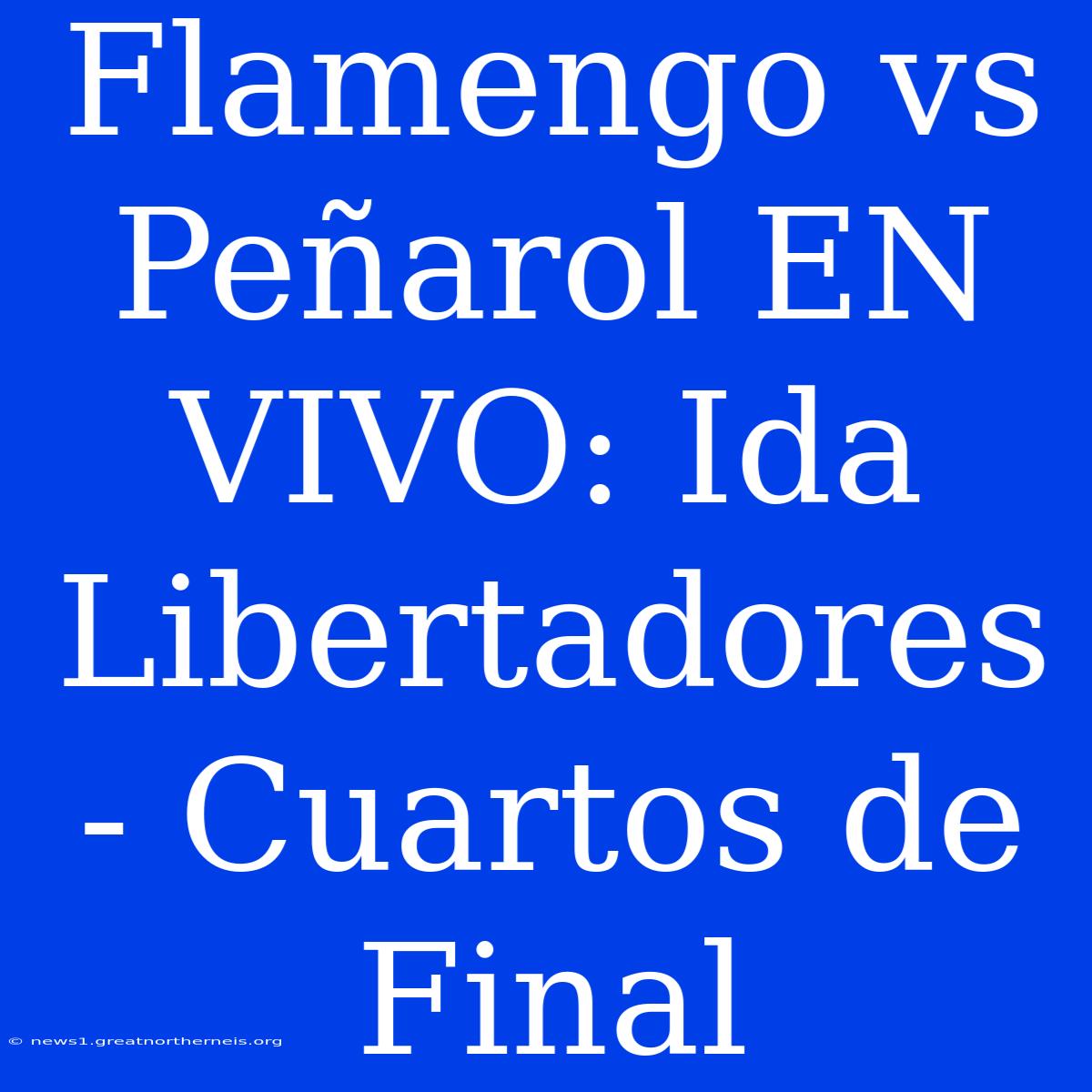 Flamengo Vs Peñarol EN VIVO: Ida Libertadores - Cuartos De Final