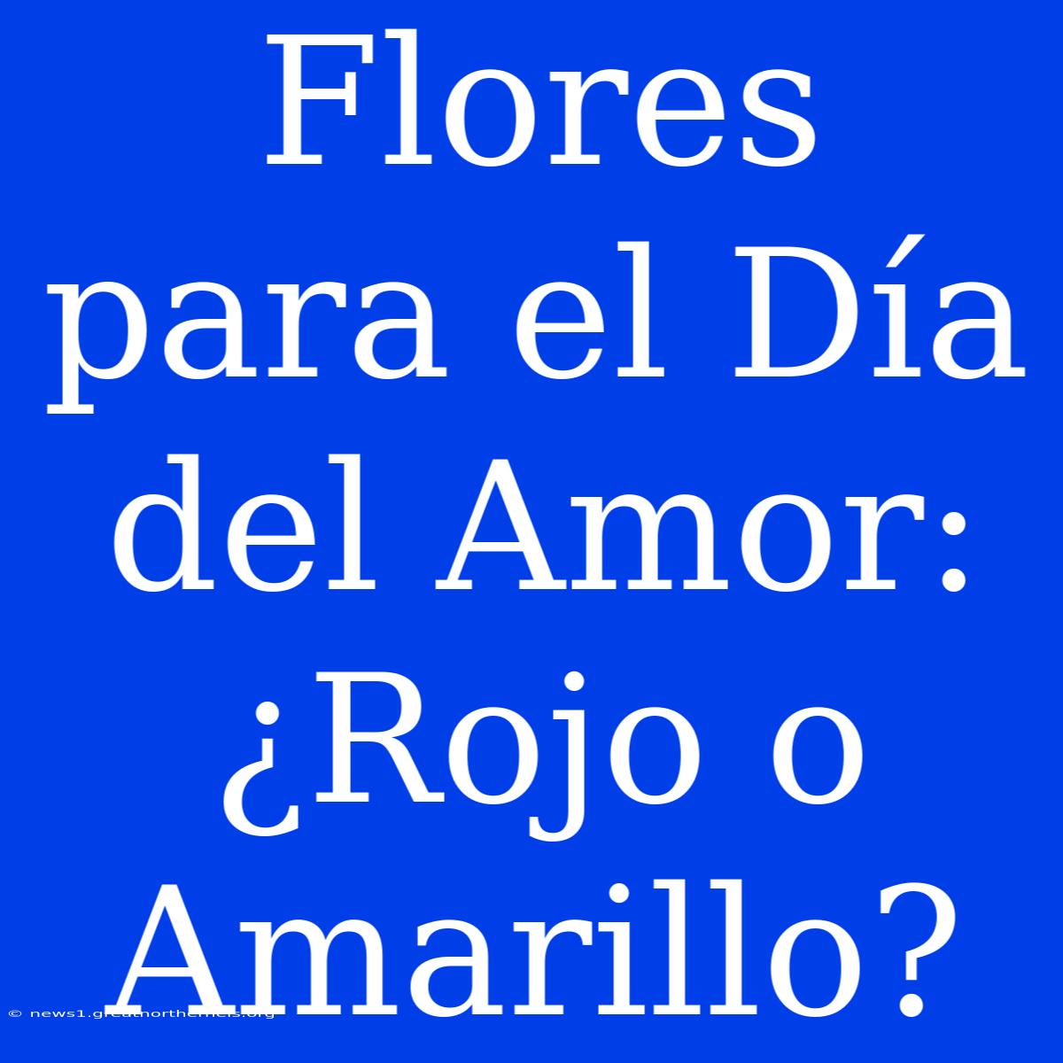 Flores Para El Día Del Amor: ¿Rojo O Amarillo?