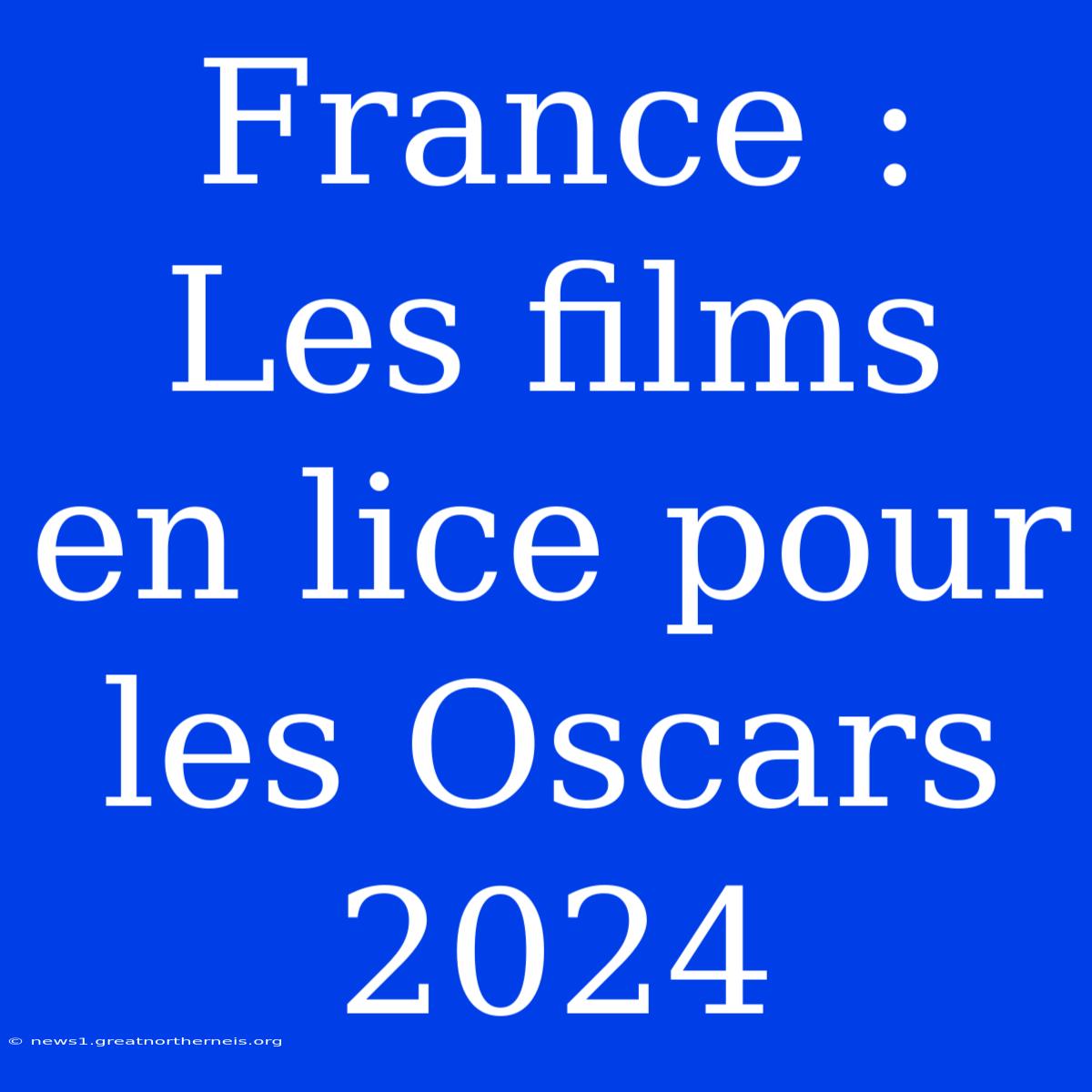 France : Les Films En Lice Pour Les Oscars 2024