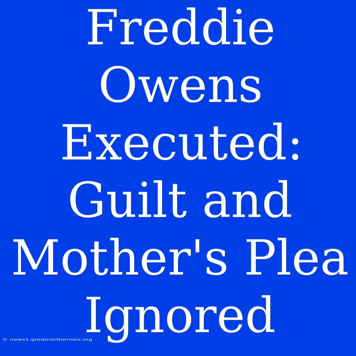 Freddie Owens Executed: Guilt And Mother's Plea Ignored