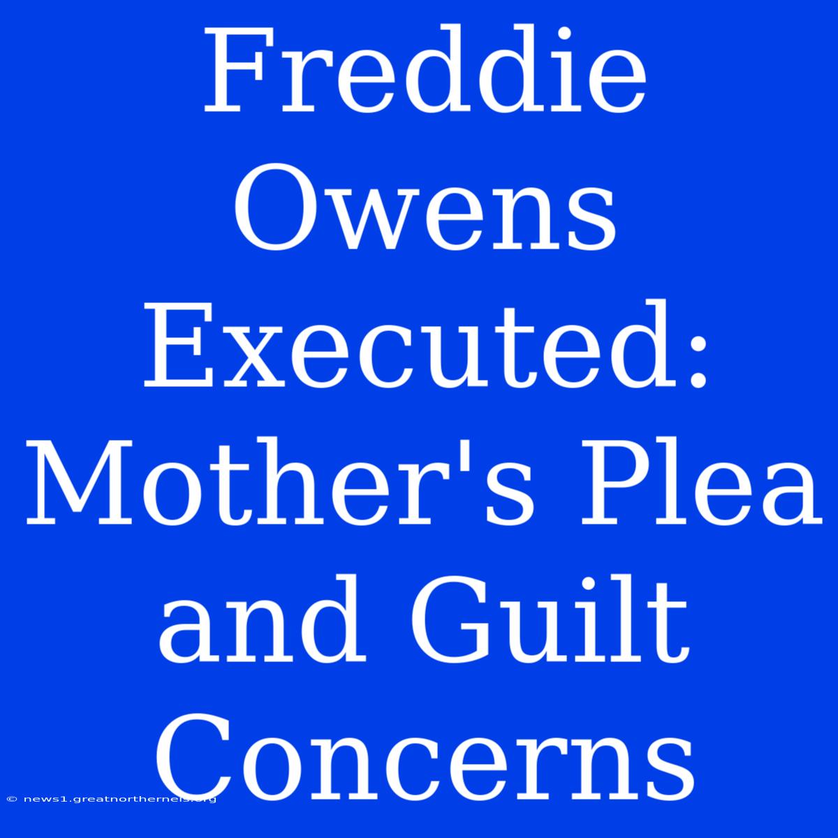 Freddie Owens Executed: Mother's Plea And Guilt Concerns