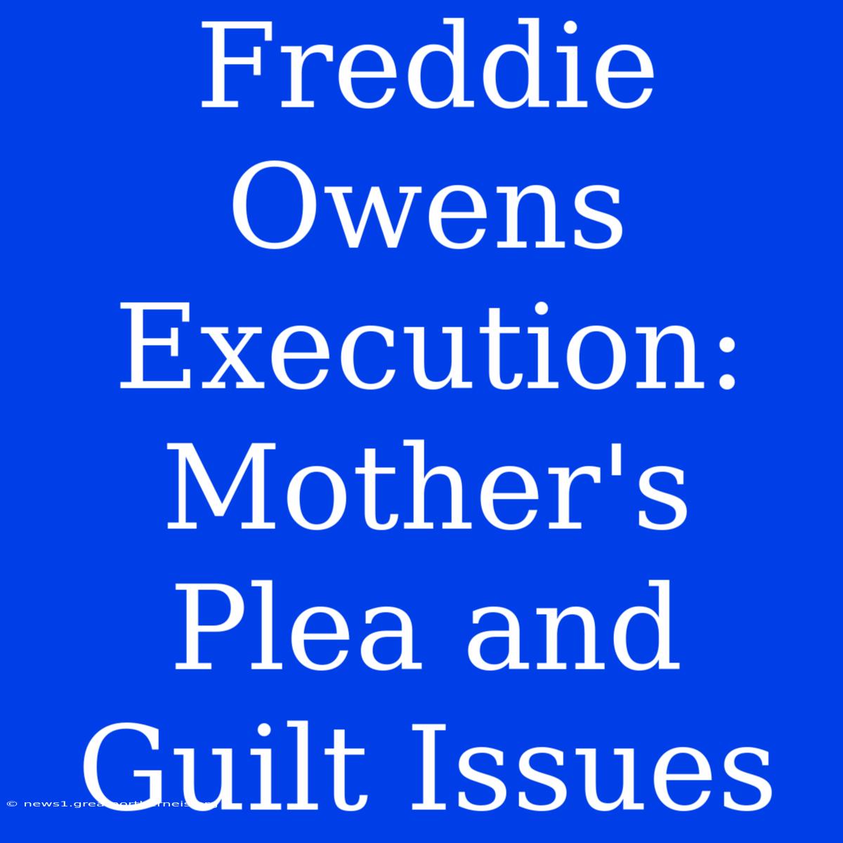 Freddie Owens Execution: Mother's Plea And Guilt Issues