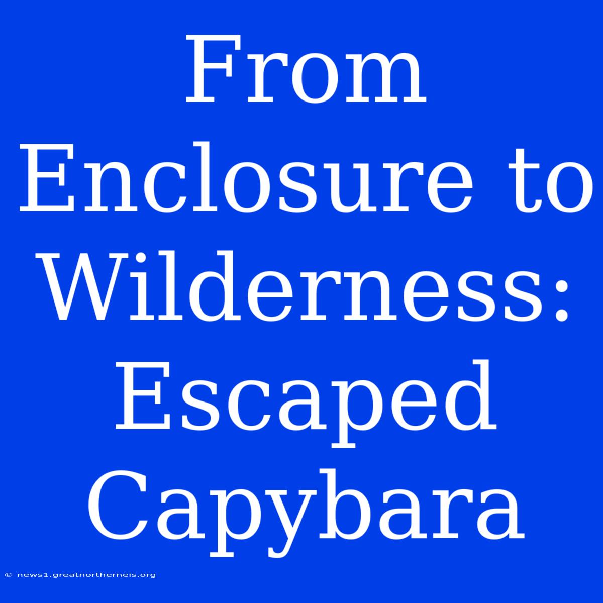 From Enclosure To Wilderness: Escaped Capybara