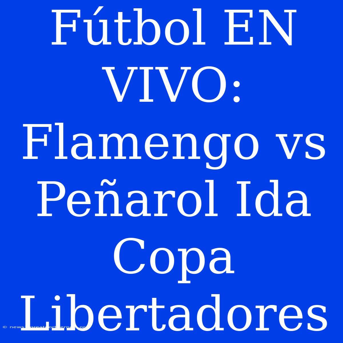 Fútbol EN VIVO: Flamengo Vs Peñarol Ida Copa Libertadores