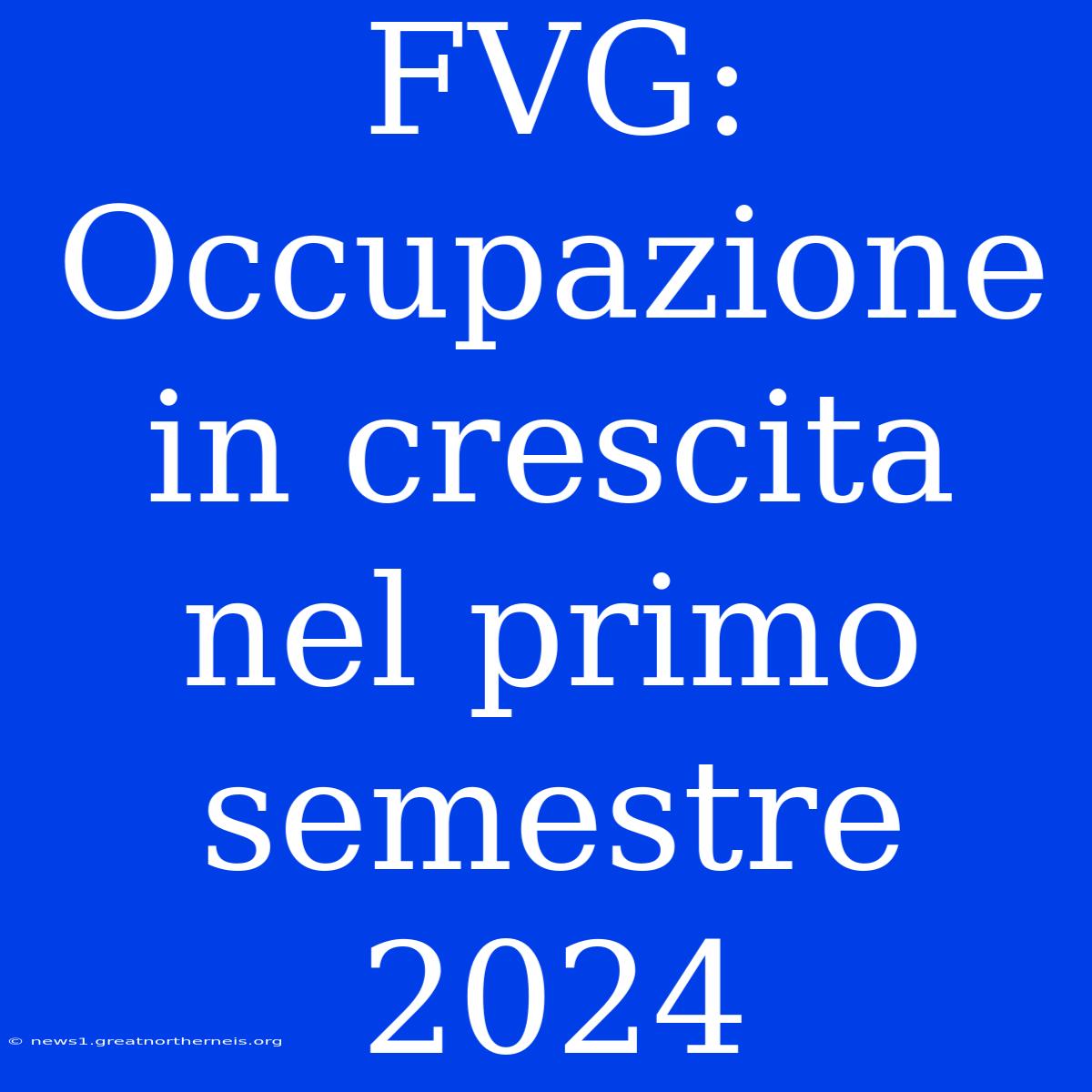 FVG: Occupazione In Crescita Nel Primo Semestre 2024