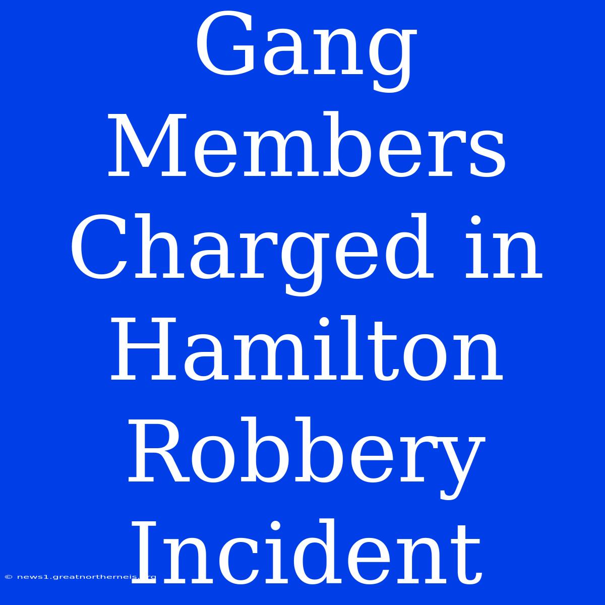 Gang Members Charged In Hamilton Robbery Incident