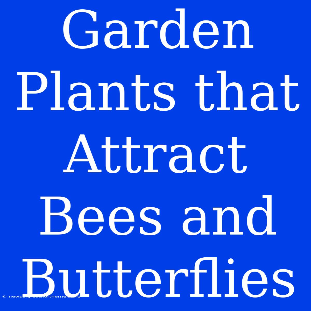 Garden Plants That Attract Bees And Butterflies