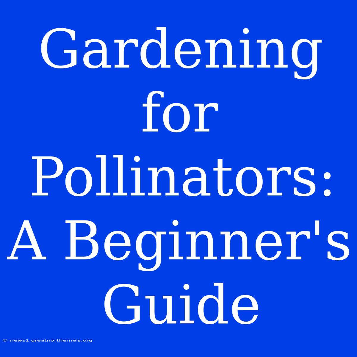 Gardening For Pollinators:  A Beginner's Guide