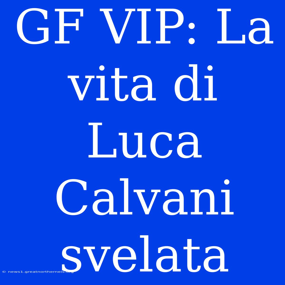 GF VIP: La Vita Di Luca Calvani Svelata