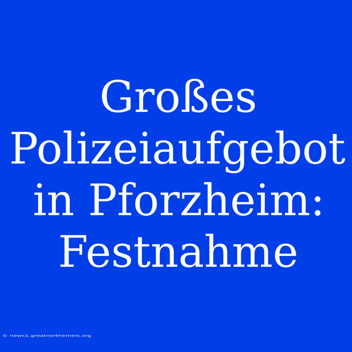 Großes Polizeiaufgebot In Pforzheim: Festnahme