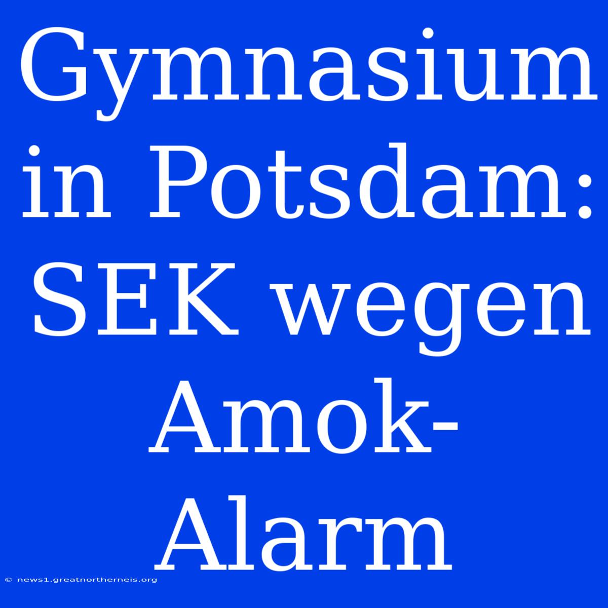 Gymnasium In Potsdam: SEK Wegen Amok-Alarm