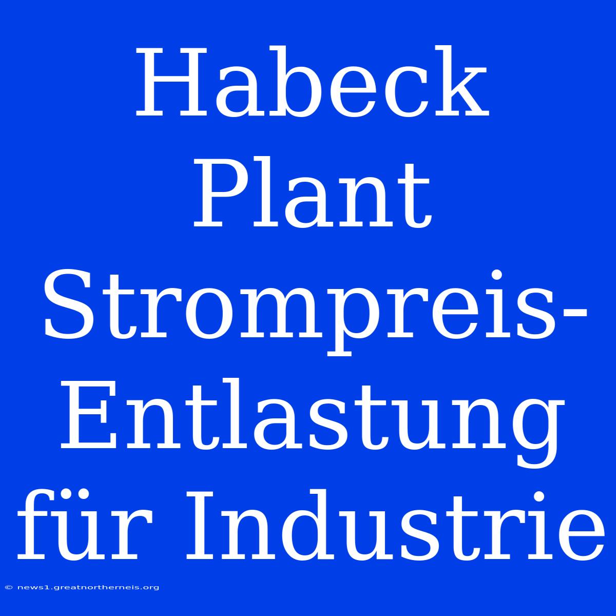 Habeck Plant Strompreis-Entlastung Für Industrie