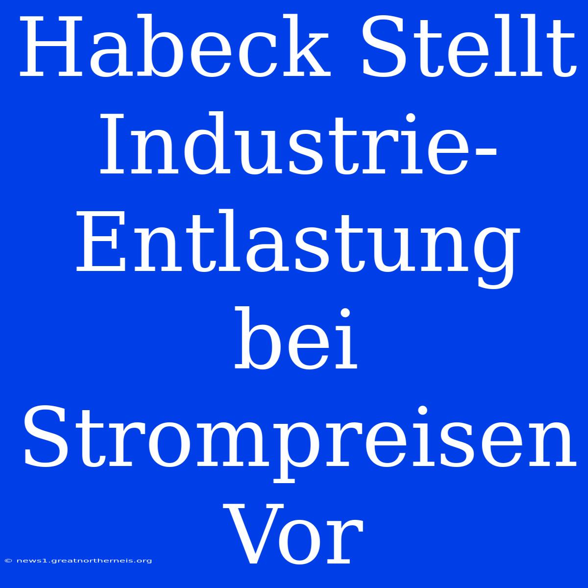 Habeck Stellt Industrie-Entlastung Bei Strompreisen Vor