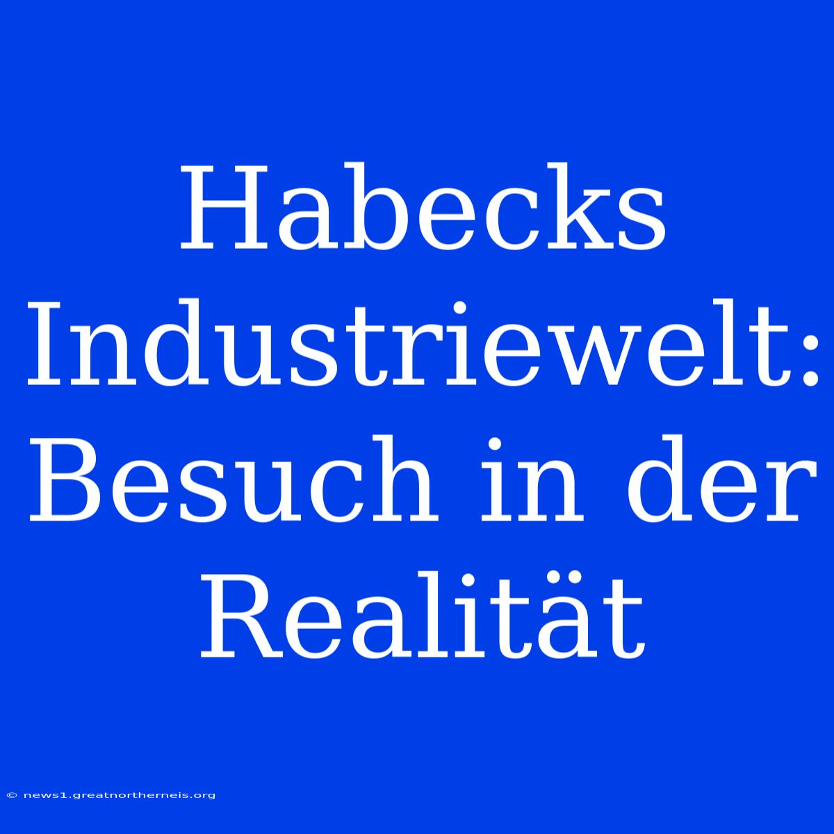 Habecks Industriewelt: Besuch In Der Realität