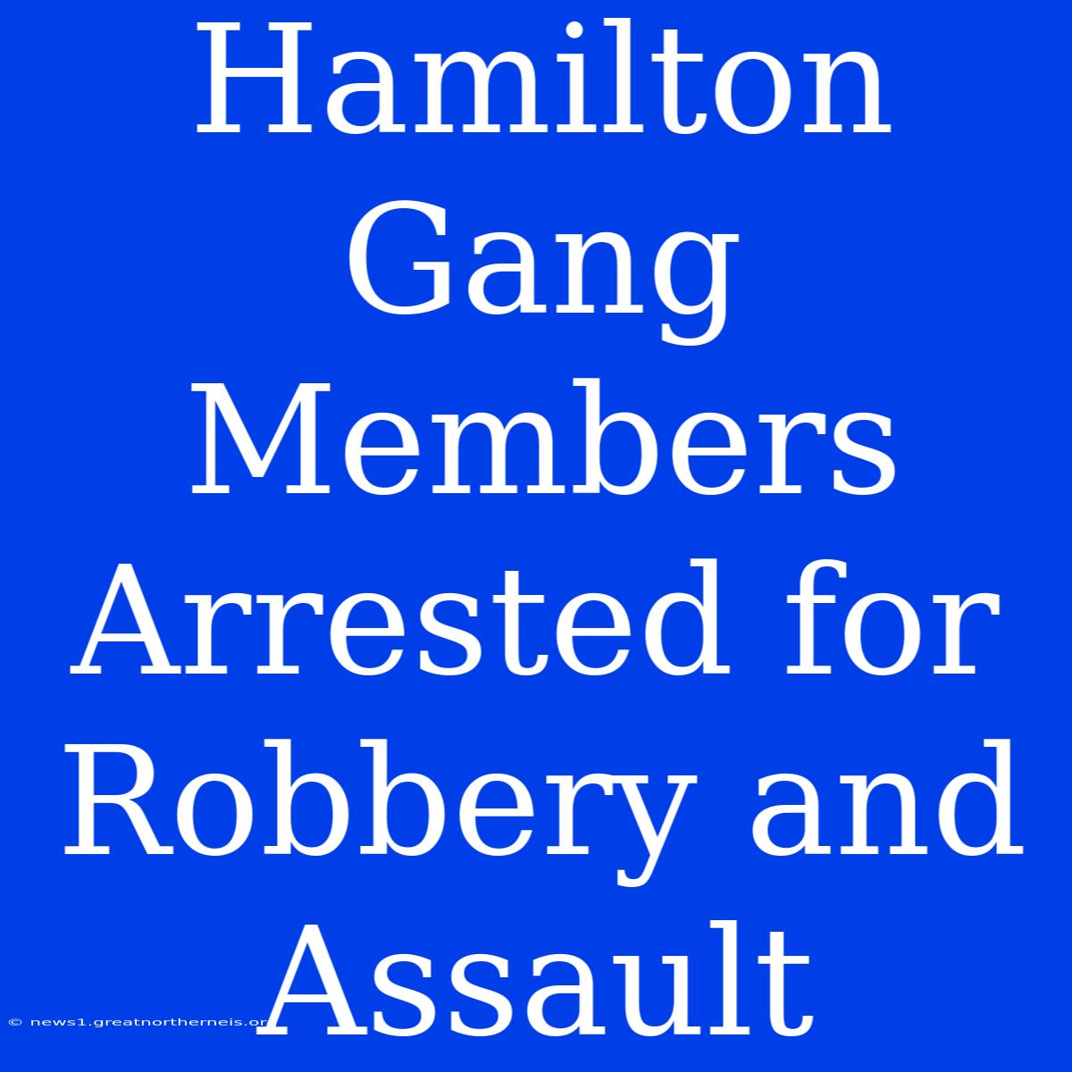 Hamilton Gang Members Arrested For Robbery And Assault