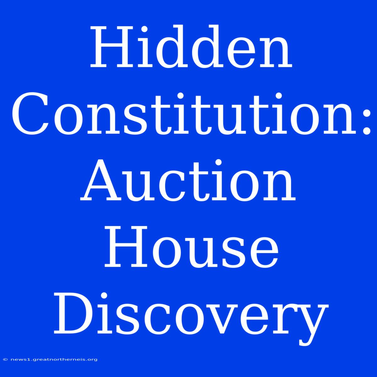 Hidden Constitution: Auction House Discovery