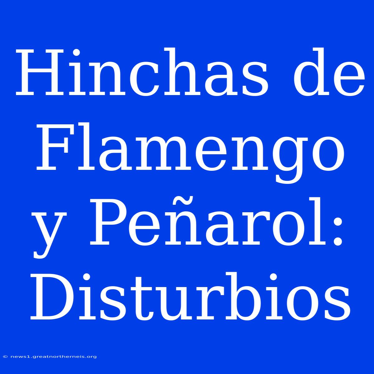 Hinchas De Flamengo Y Peñarol: Disturbios