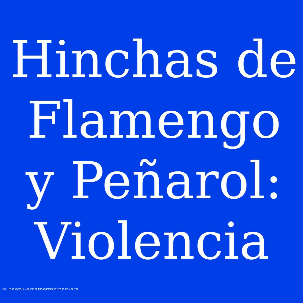 Hinchas De Flamengo Y Peñarol: Violencia