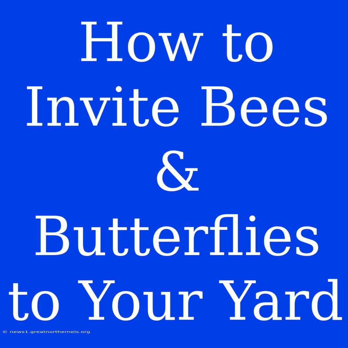 How To Invite Bees & Butterflies To Your Yard