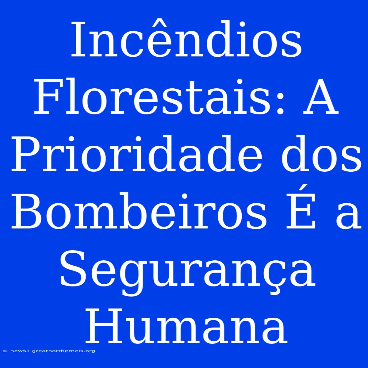 Incêndios Florestais: A Prioridade Dos Bombeiros É A Segurança Humana