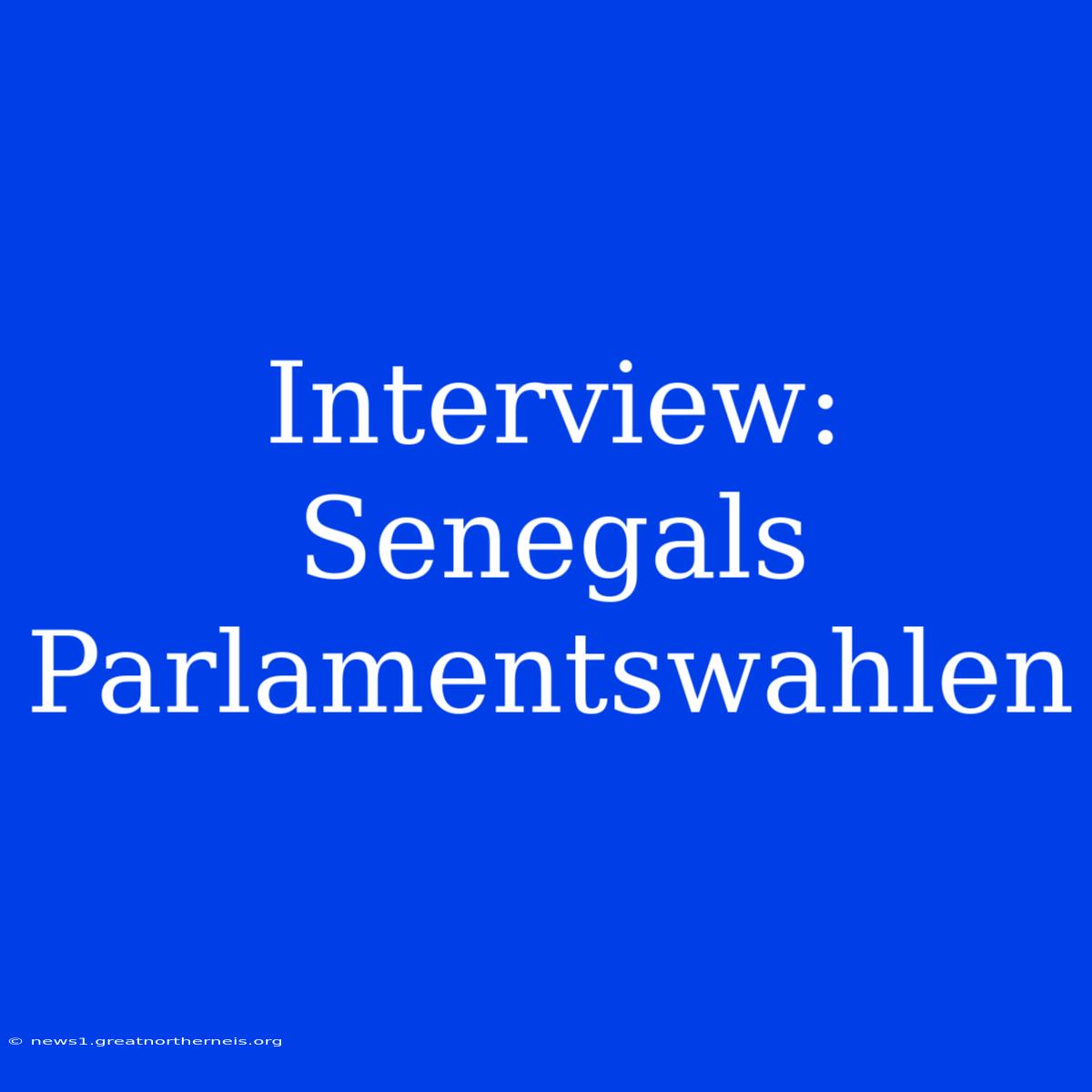 Interview: Senegals Parlamentswahlen