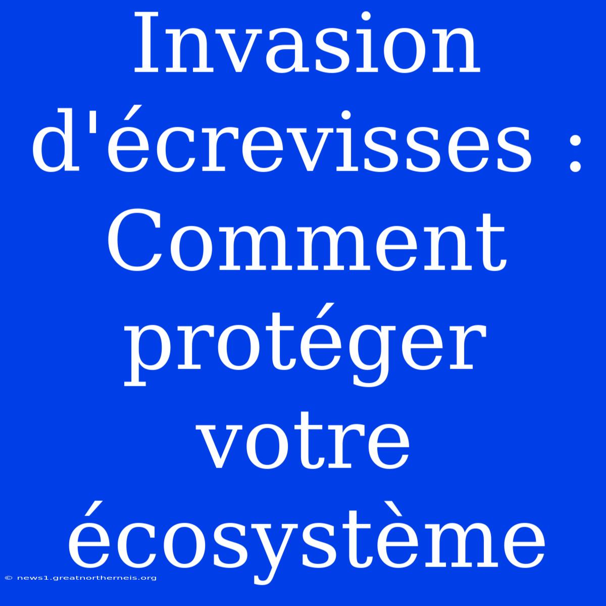 Invasion D'écrevisses : Comment Protéger Votre Écosystème