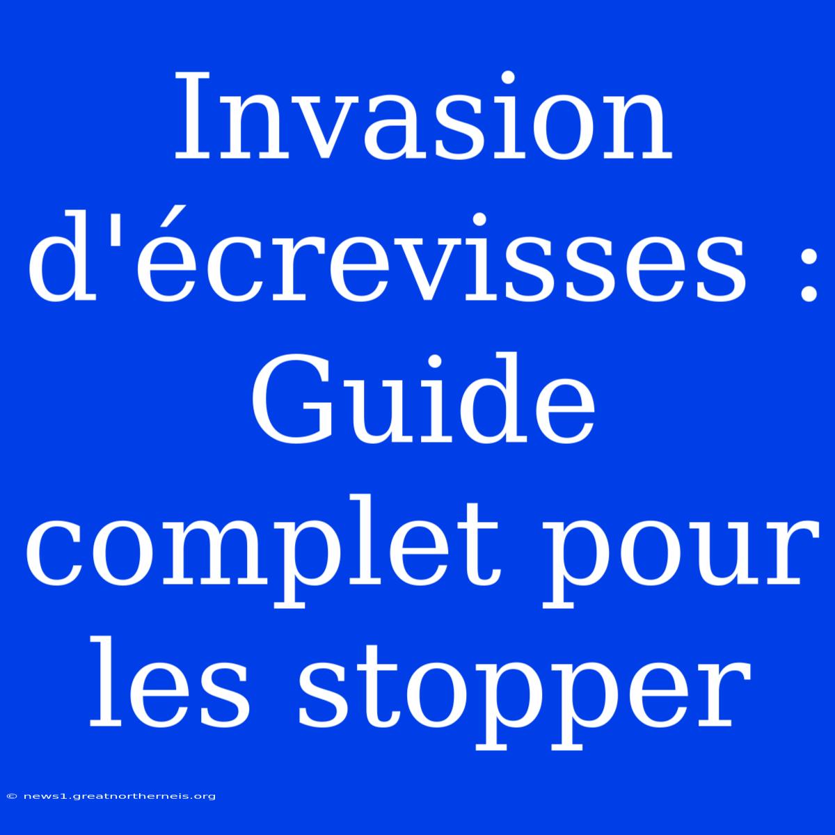 Invasion D'écrevisses : Guide Complet Pour Les Stopper