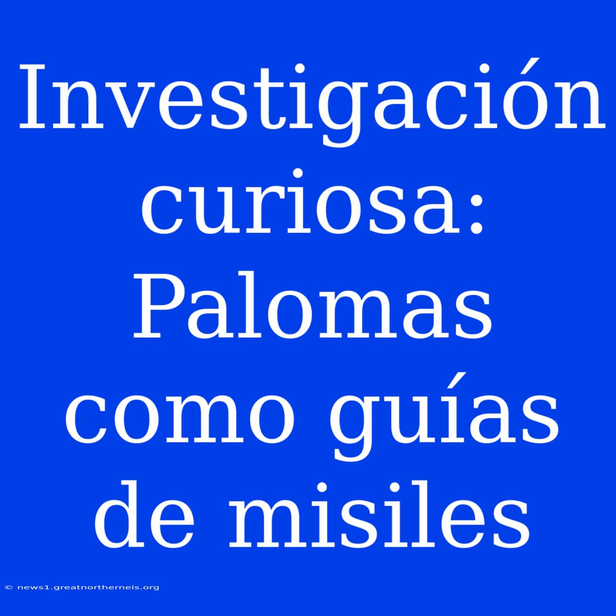 Investigación Curiosa: Palomas Como Guías De Misiles