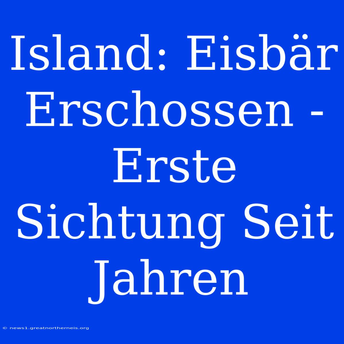 Island: Eisbär Erschossen - Erste Sichtung Seit Jahren