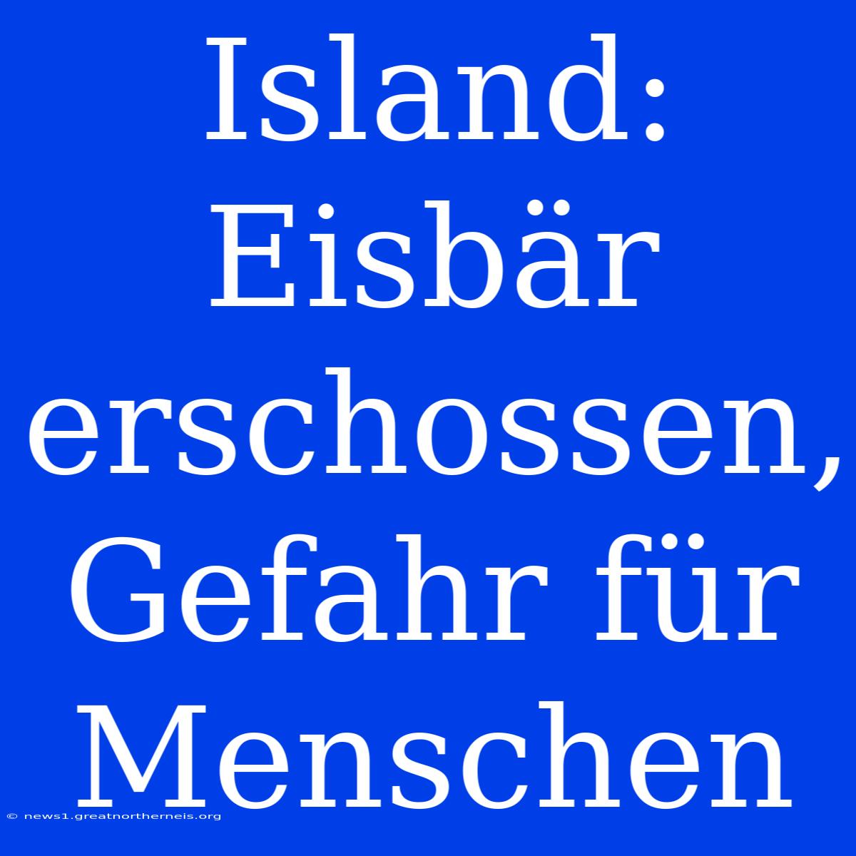 Island: Eisbär Erschossen, Gefahr Für Menschen