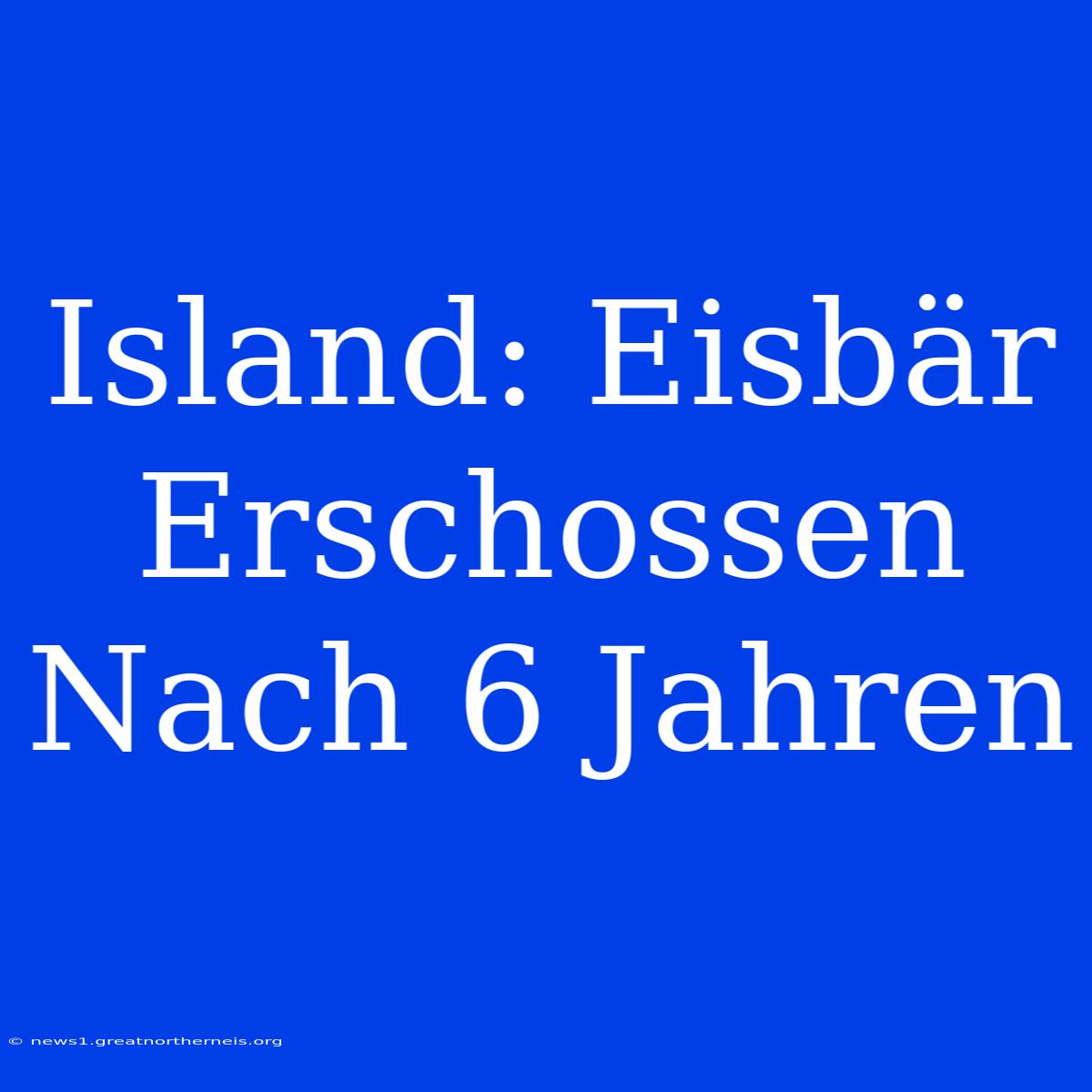 Island: Eisbär Erschossen Nach 6 Jahren