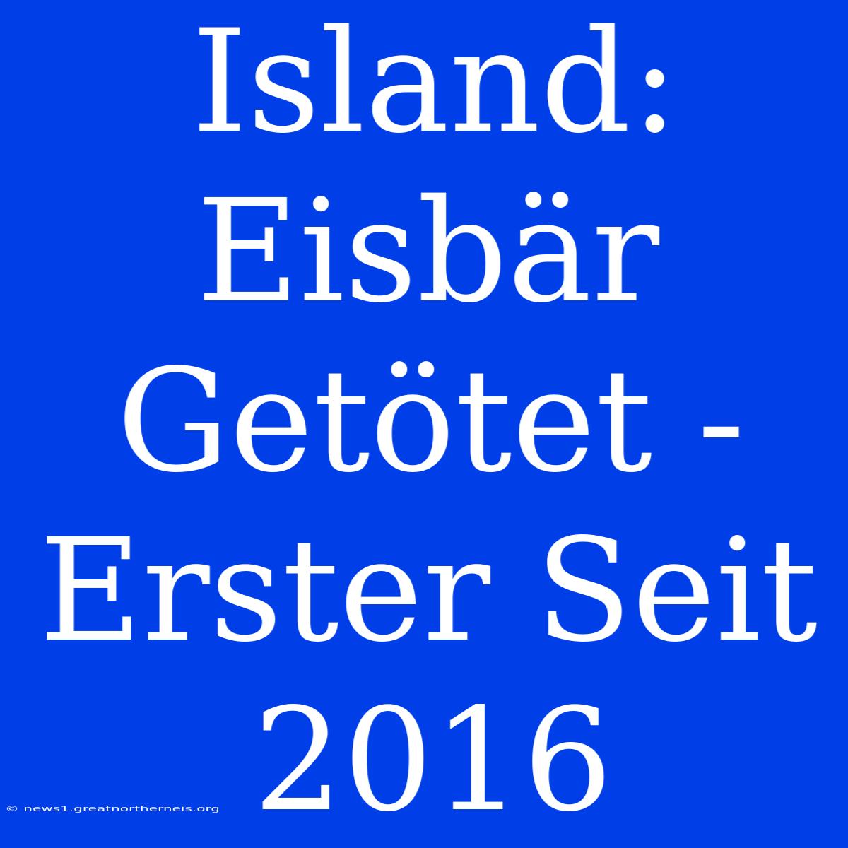 Island: Eisbär Getötet - Erster Seit 2016