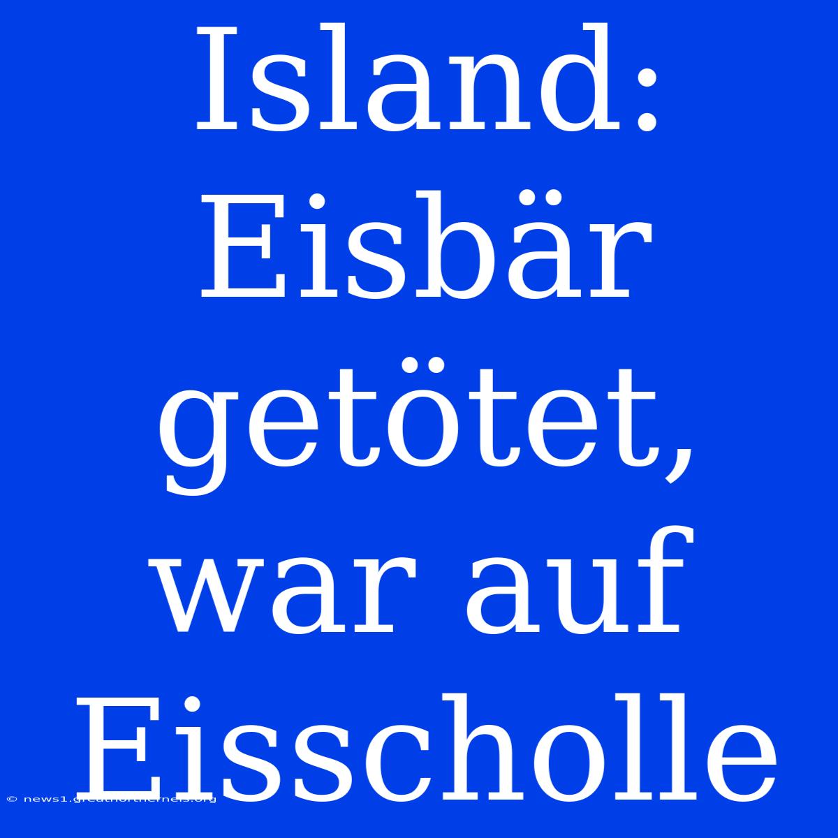 Island: Eisbär Getötet, War Auf Eisscholle