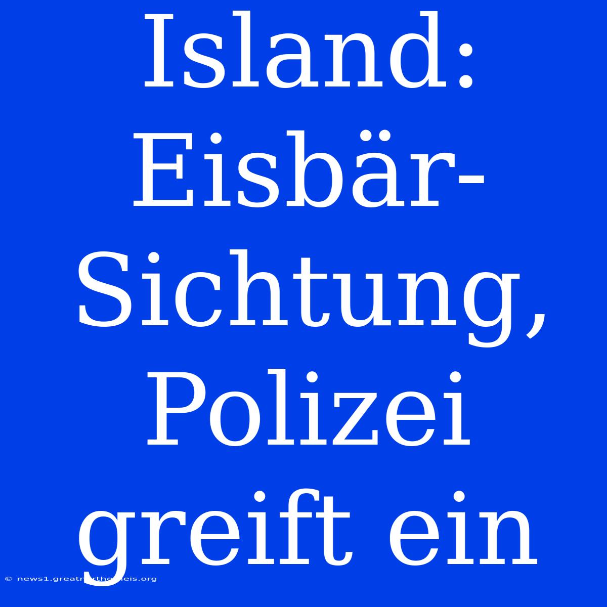 Island: Eisbär-Sichtung, Polizei Greift Ein