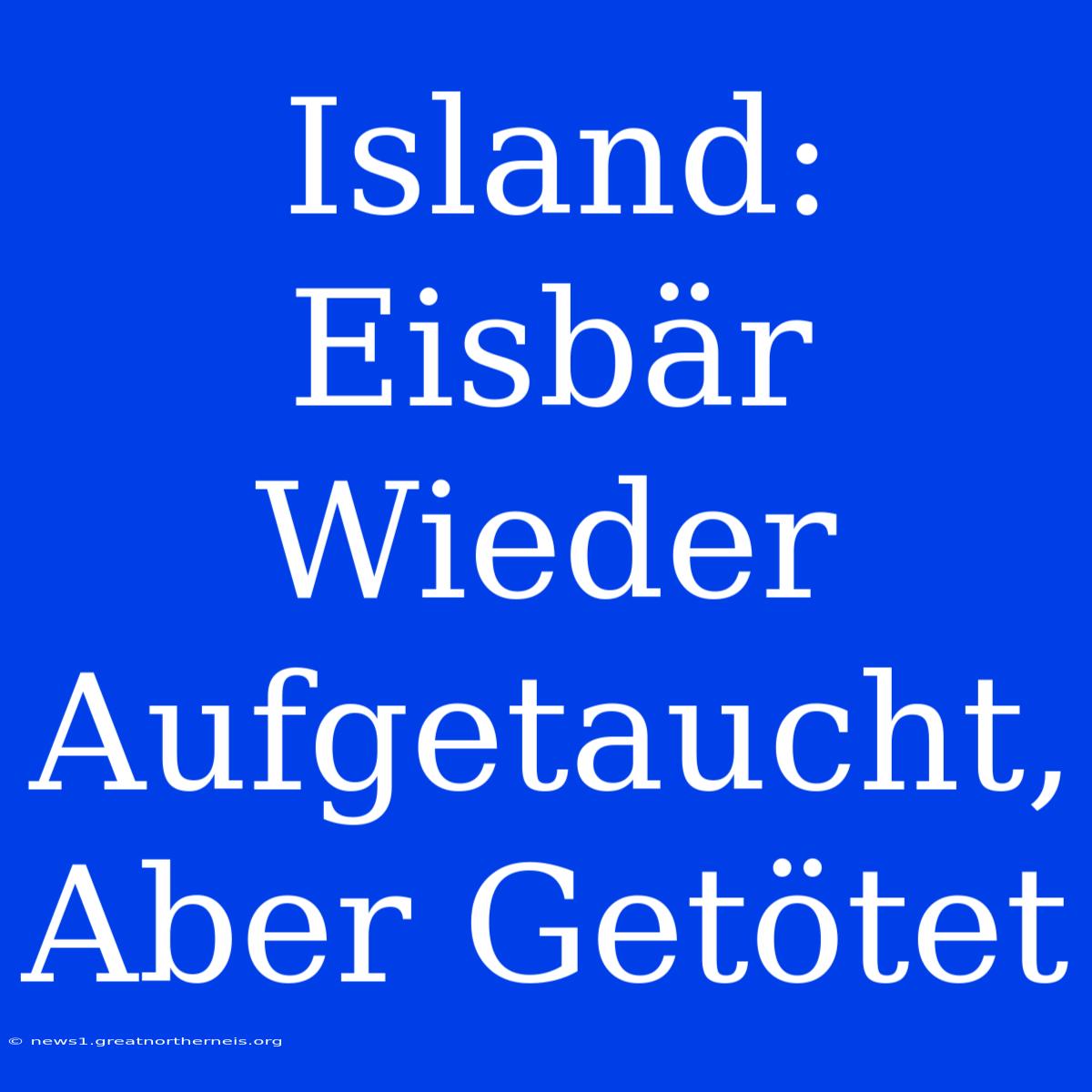 Island: Eisbär Wieder Aufgetaucht, Aber Getötet