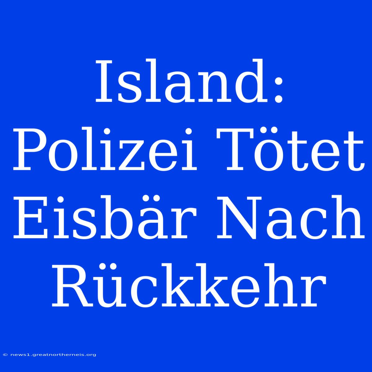 Island: Polizei Tötet Eisbär Nach Rückkehr