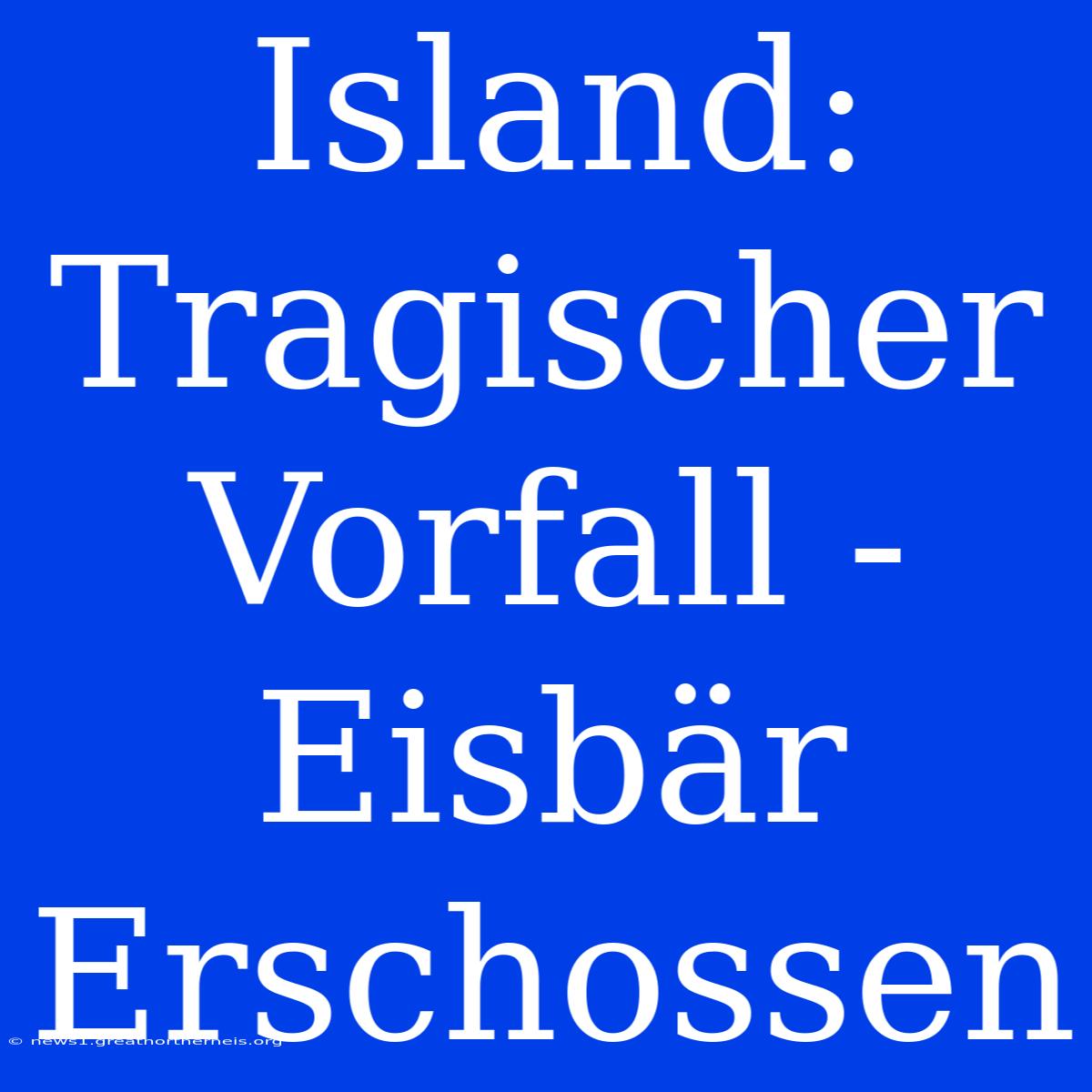 Island: Tragischer Vorfall - Eisbär Erschossen