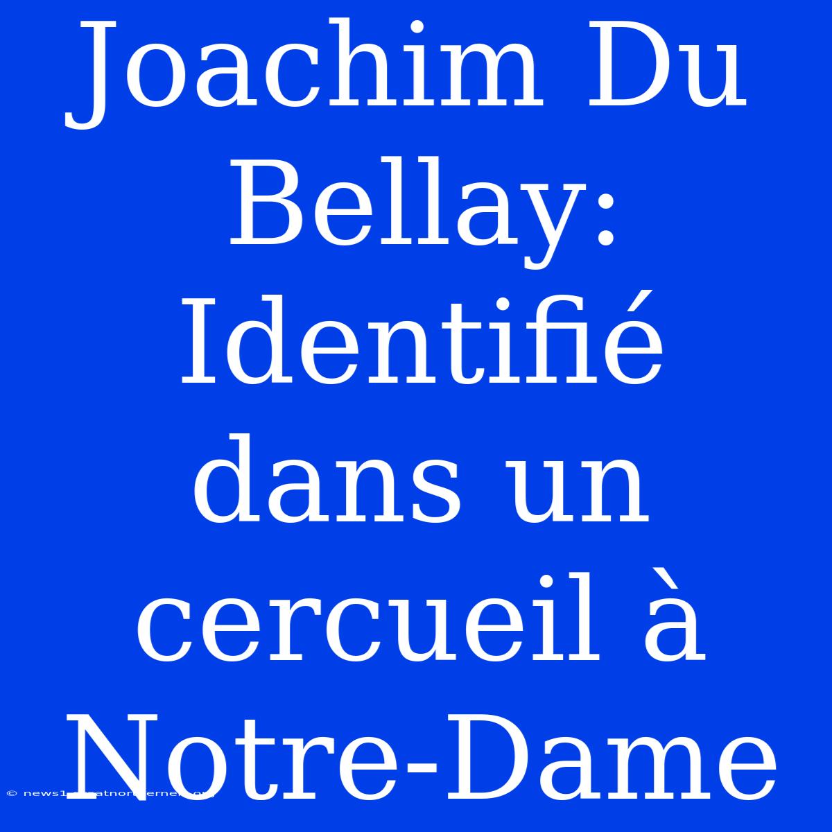 Joachim Du Bellay: Identifié Dans Un Cercueil À Notre-Dame