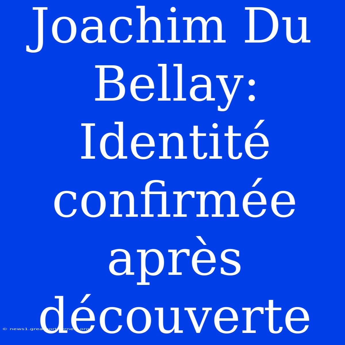 Joachim Du Bellay: Identité Confirmée Après Découverte