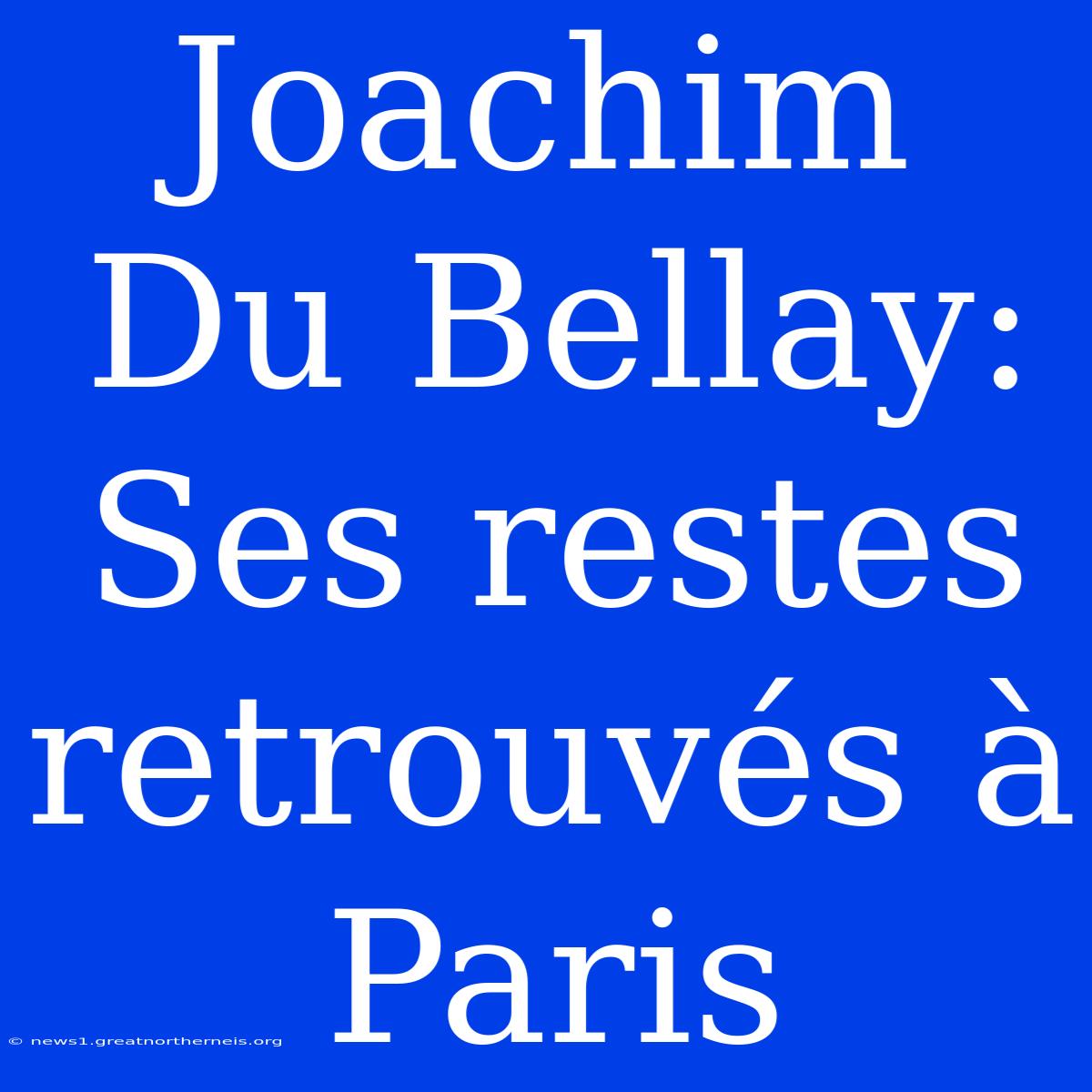 Joachim Du Bellay: Ses Restes Retrouvés À Paris