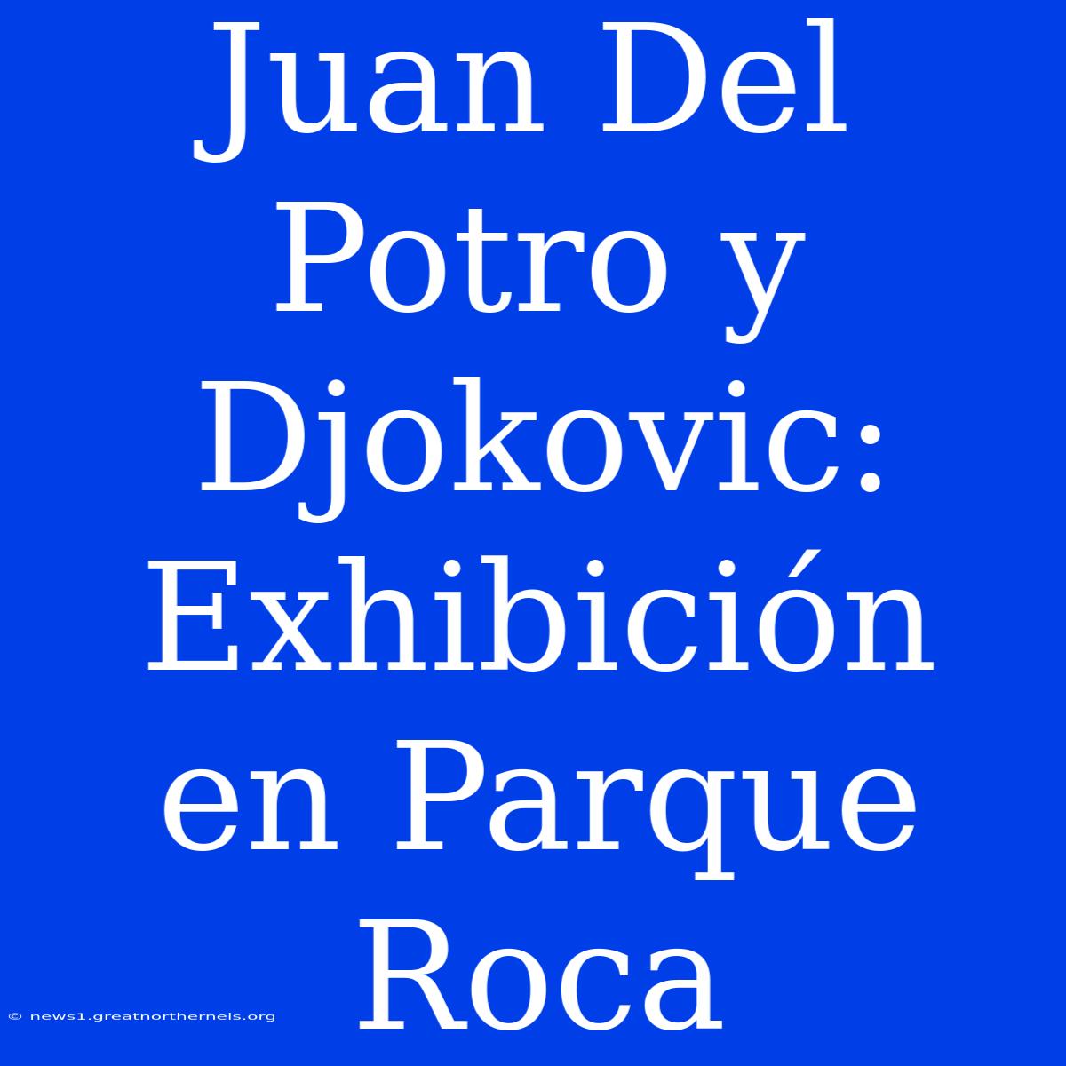 Juan Del Potro Y Djokovic: Exhibición En Parque Roca