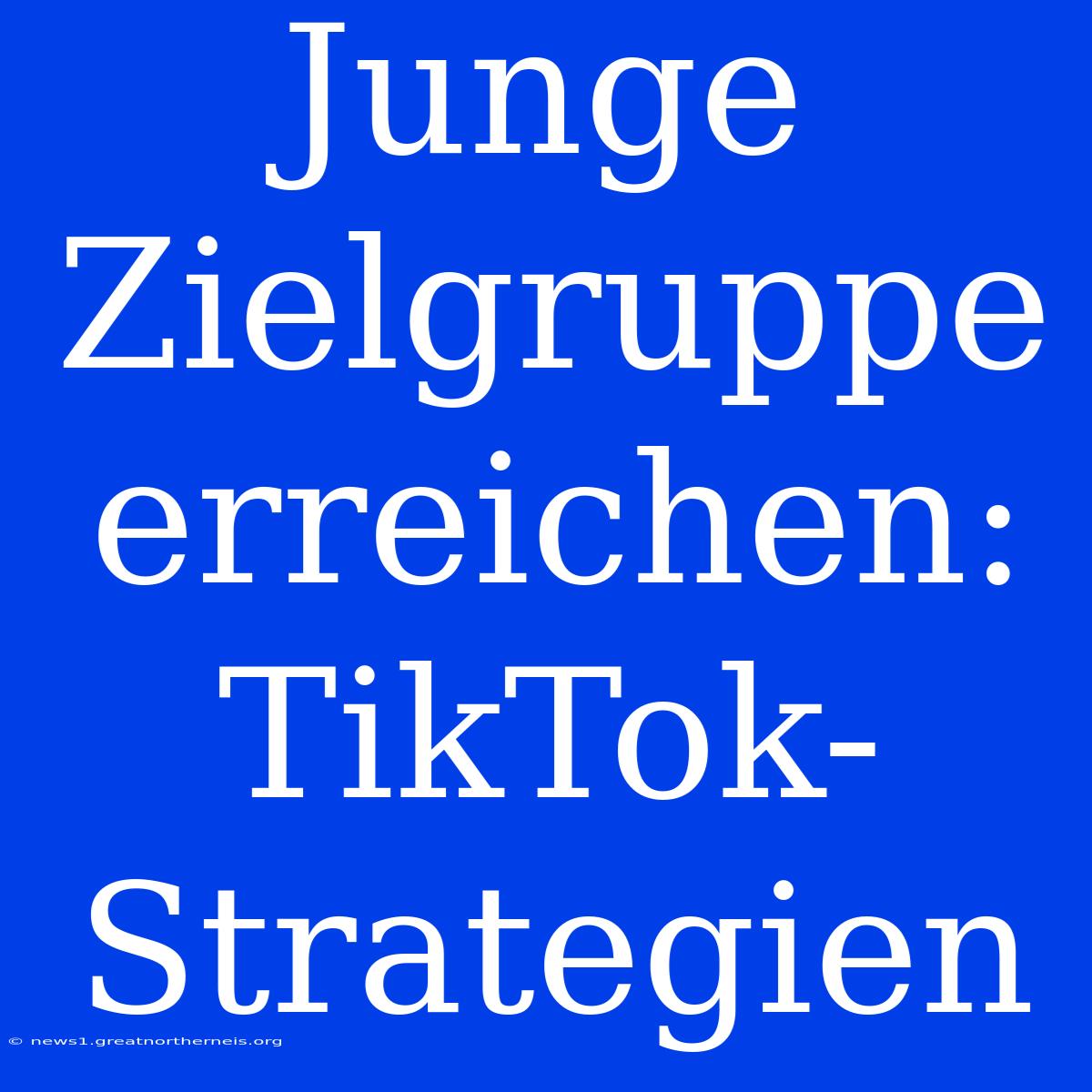 Junge Zielgruppe Erreichen: TikTok-Strategien