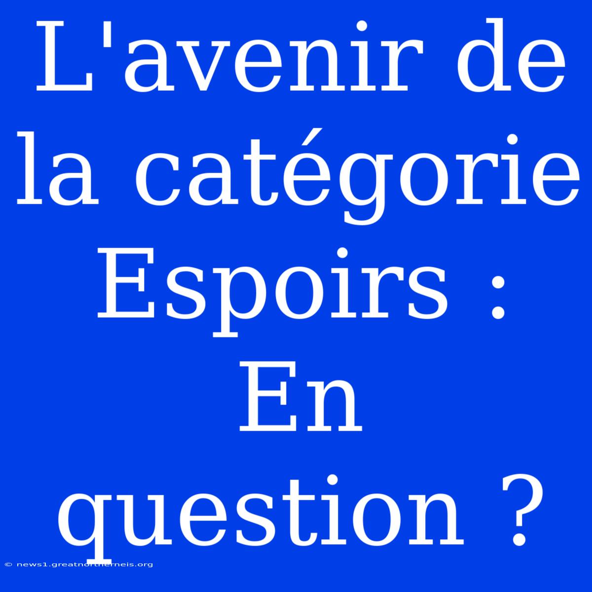 L'avenir De La Catégorie Espoirs : En Question ?