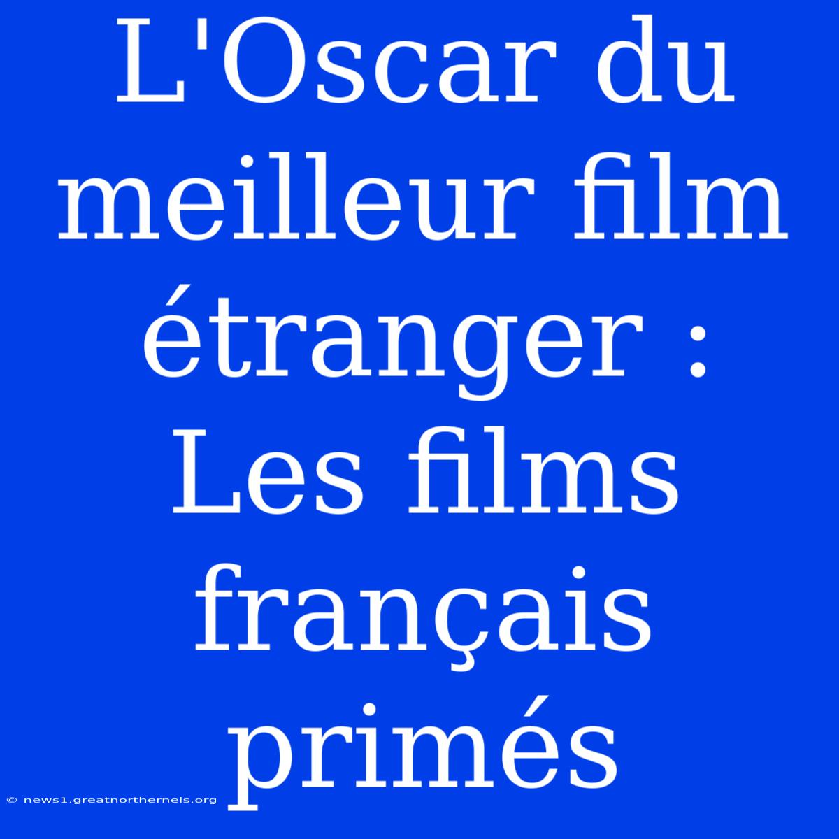 L'Oscar Du Meilleur Film Étranger : Les Films Français Primés